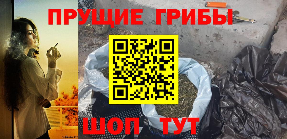 Псилоцибиновые грибы Cubensis  купить закладку  Псилоцибиновые грибы Psilocybe  Приморско-Ахтарск  Вход с VPN 